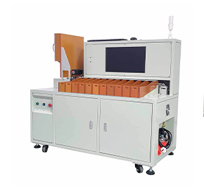  Auto Sorting Machine